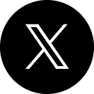 公式X